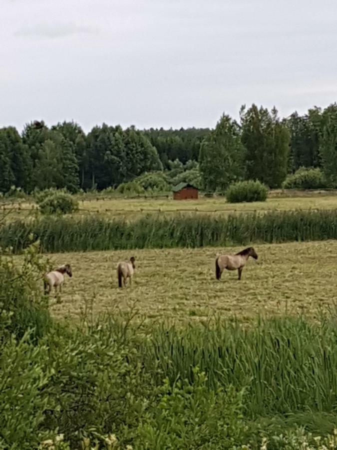Apartamenty Białowieża Eksteriør billede